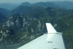 winglets