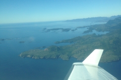 Winglet