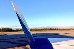 Winglet